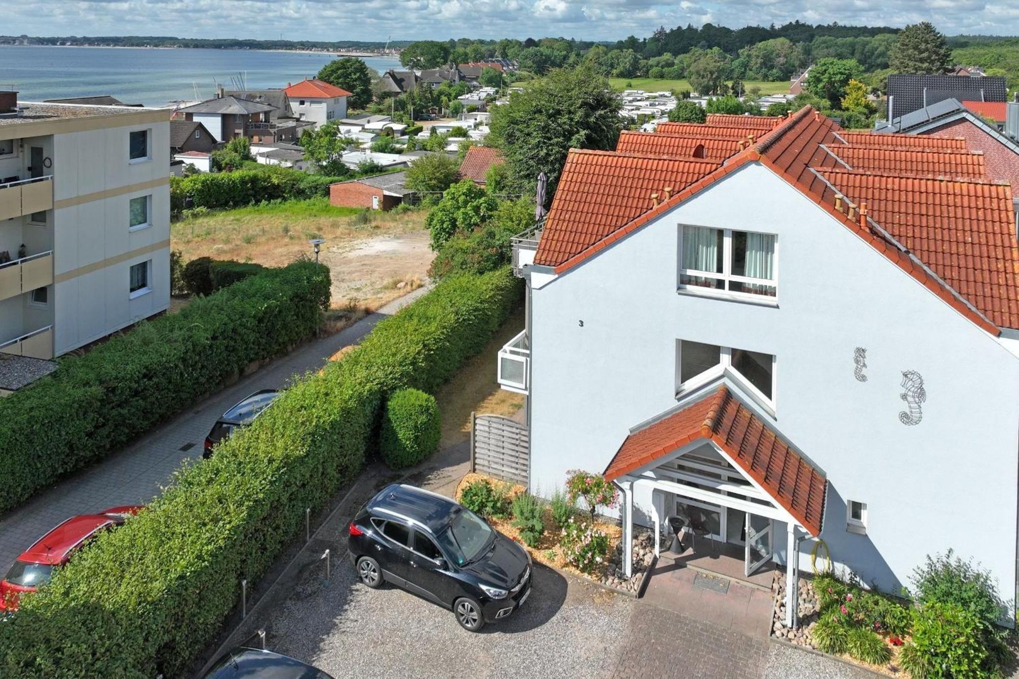 Seepferdchen 25 *